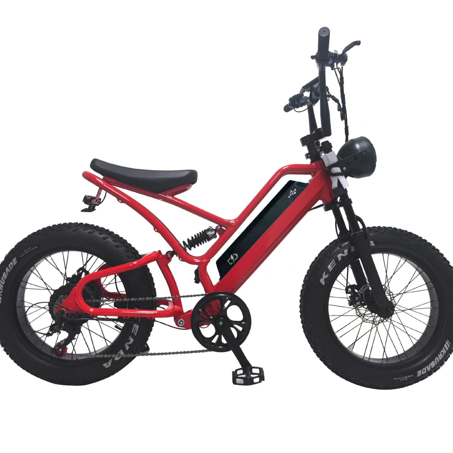 

20inch Electric Mountain bicycle hiddle battery 800W 1000W EBIKE, Gray,red