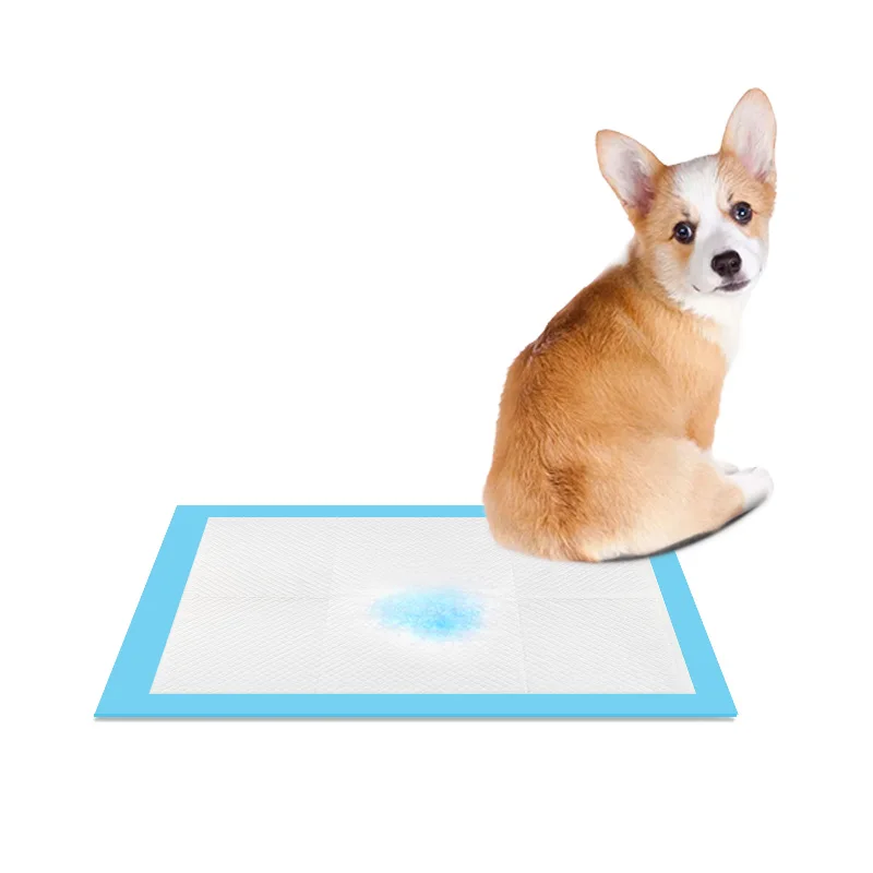 

2021 Disposable Blue Multiple Sizes Pet Pad Training