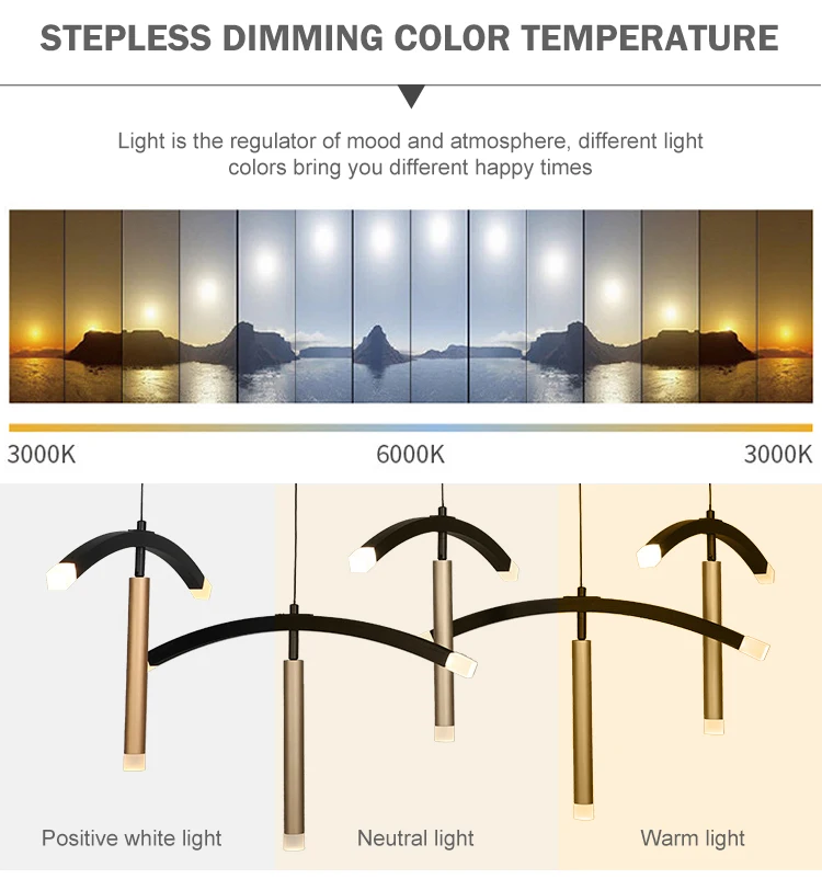 Unique Design Suspending Dining Room Modern Decorative Northern Europe Black Led Chandelier Lamp