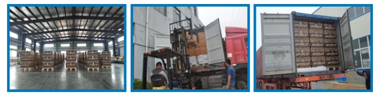 travel scooter mobility