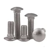 304 stainless steel big head carriage bolt coach bolt or round head square neck bolt
