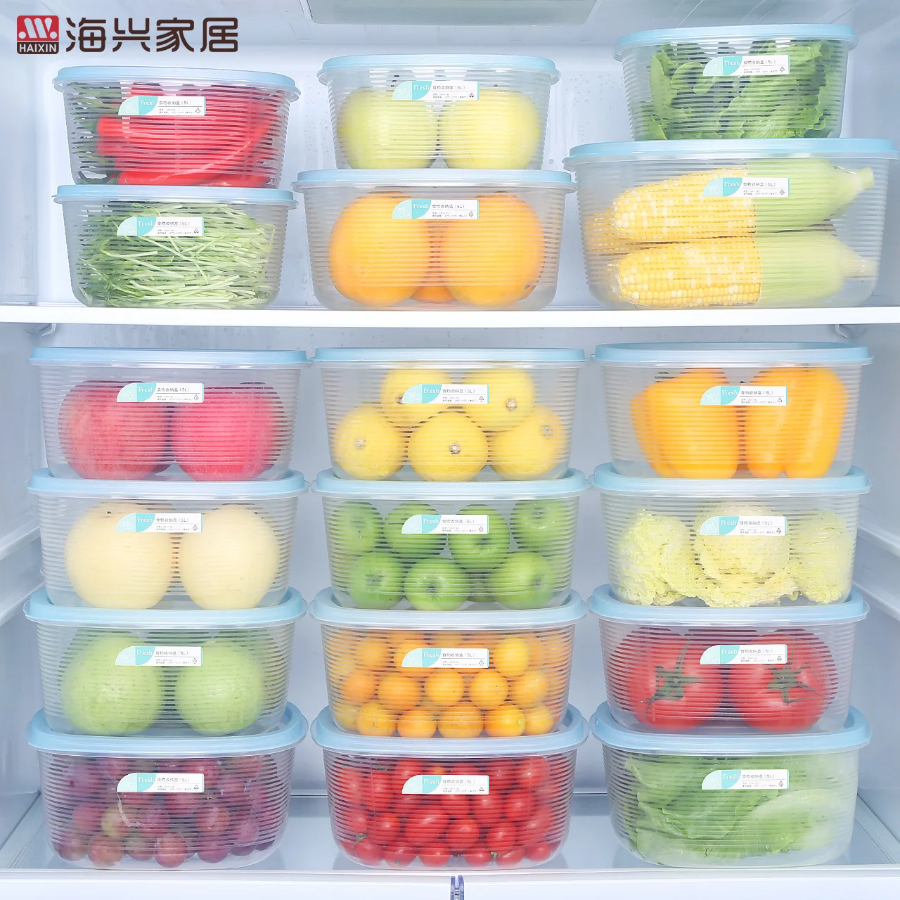 

Haixin 5.2L Large Size Refrigerator Storage Box Food Grade PP Storage Microwave Safe Organizer Box with Lid, Transparent blue