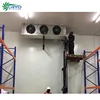 atlantic salmon Shellfish blast cold storage industrial cold storage in vietnam walk in freezer nz