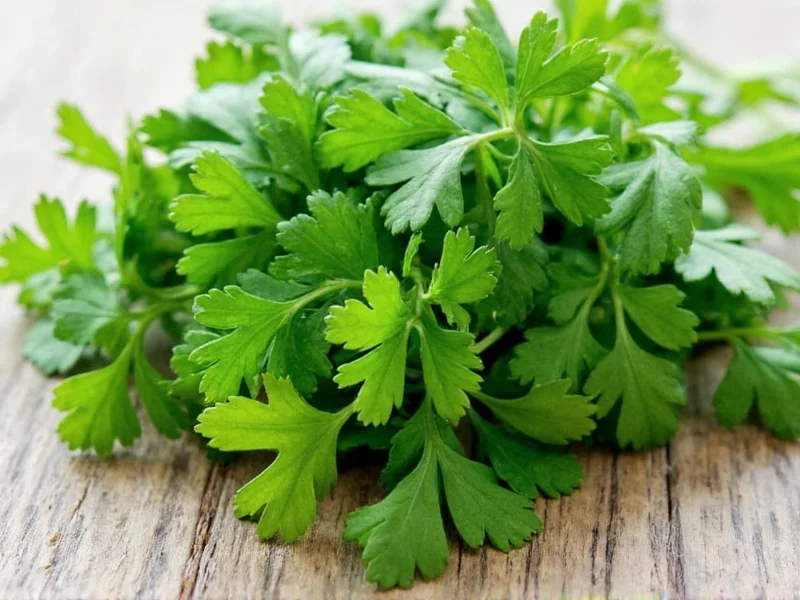 Best Parsley Substitutes: Top Herb Alternatives for Cooking
