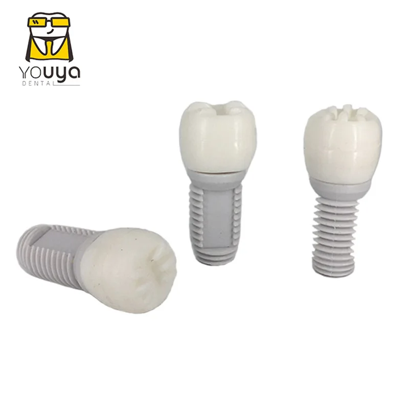 Best Selling PVC Material Tooth Shape 16GB USB Flash Drive For Dentist Gift - ANKUX.COM
