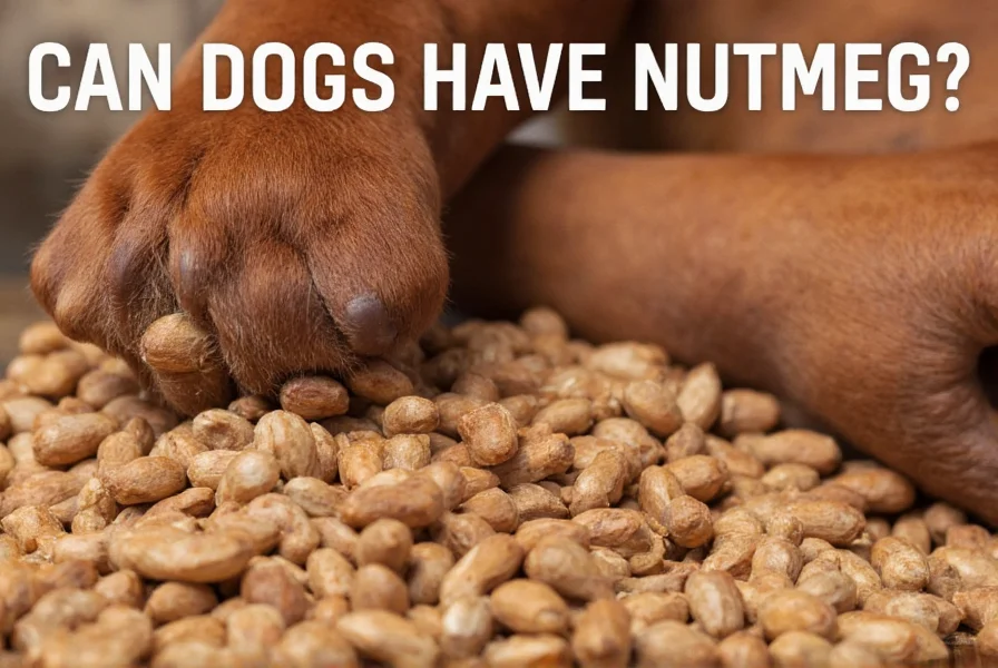 can dogs have nutmeg