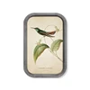 Oval corner angle rustic Wall Art Painting Hummingbird In blooming leaves Prints On Canvas Animal home the picture oil decor