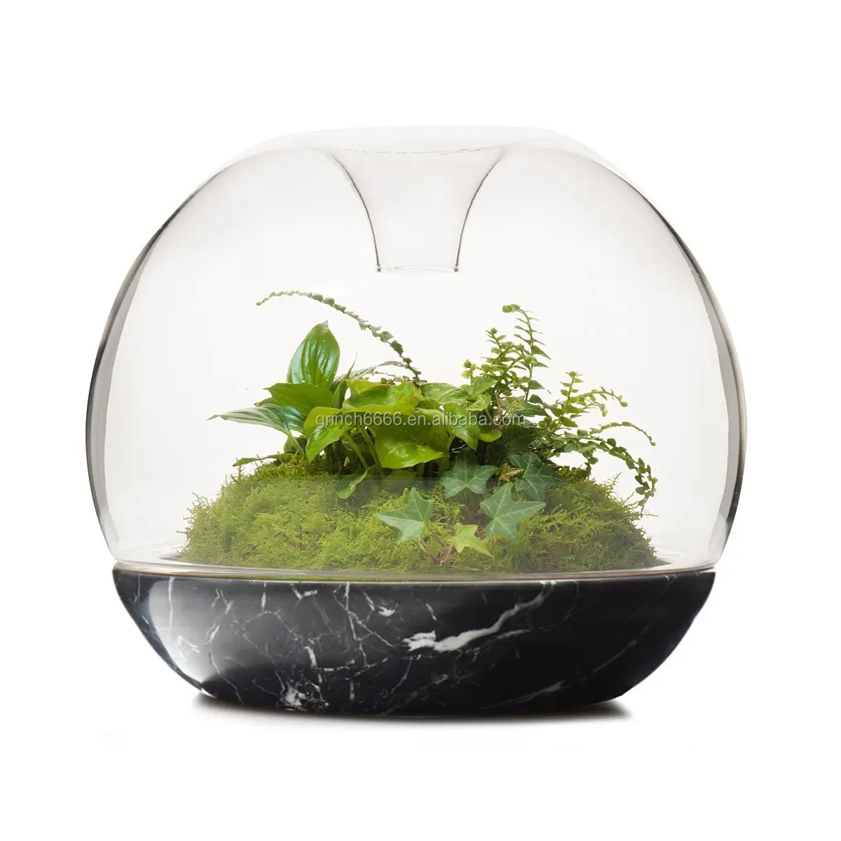 Biodome Rainforest Terrarium Geometric Glass Terrarium Micro Indoor