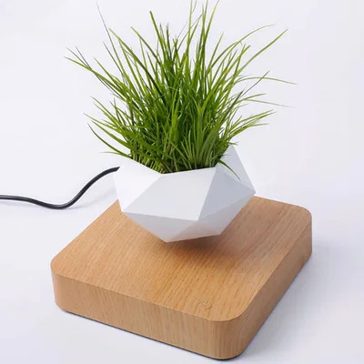 

Desk Decor Wholesale Air Bonsai Indoor White Magnetic Levitating Plant Pot