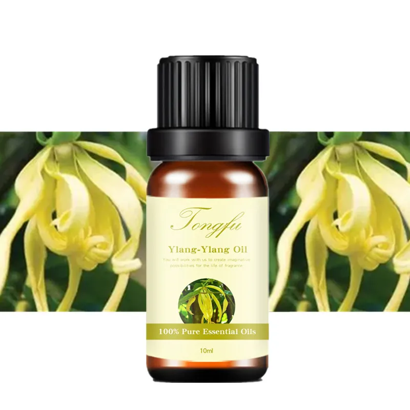 

Wholesale Best Quality Pure Ylang ylang Oil Aromatherapy Organic Ylang Essential Oil Price Bulk Supply