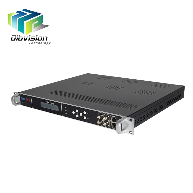 

24 in 1 ird dvb t2 to ip converter 512spts 14mpts fta Satellite Tv Receiver