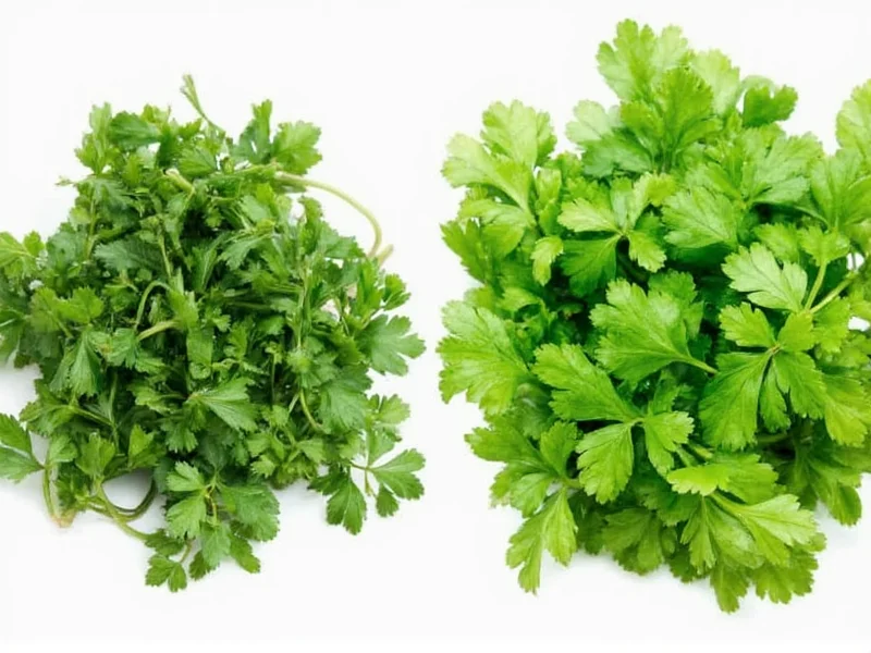 Fresh Coriander vs Cilantro: Same Herb, Different Names