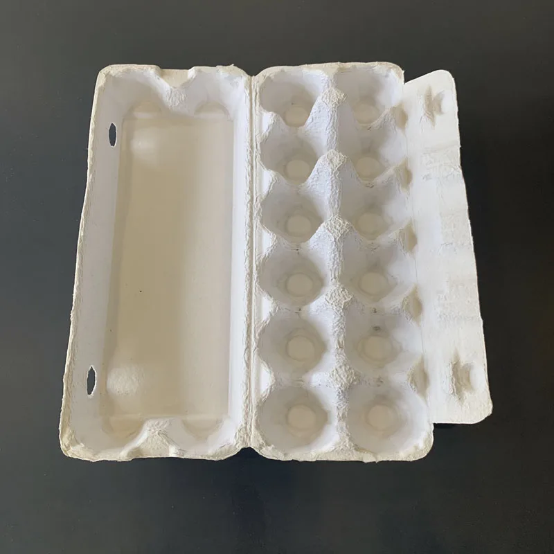 Pt Pack 2021 Paper Egg Tray Factory Biodegradable Pulp Fiber Sugarcane Bagasse 6 Cell Paper Eggs