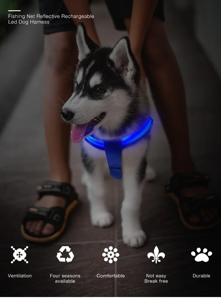 Wholesale Night Lighting Dog Training Safety LED Pet Harness