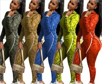 

Fashion Pirnted Colour 2 PIece Sets Women Sportwear Tracksuit 2019 Winter Clothes Two Piece