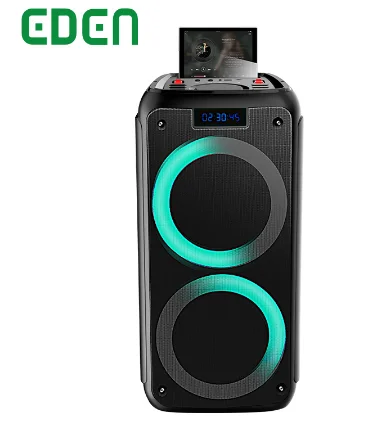 

Factory Dual 8 inch Professional Outdoor active Audio LED Disco DJ Portable Wireless BT Party Box Speaker