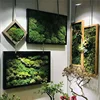 customization preserved moss wall painting hanging frame