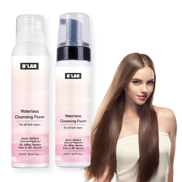 

OEM & ODM Use As Shampoo hair private label dry shampoo mousse foam made in China