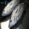 seafood price WR frozen skipjack tuna fish indonesia for sale