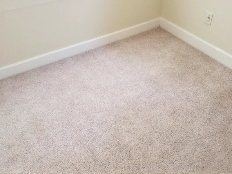 Clean carpet after using homemade cleaning solution