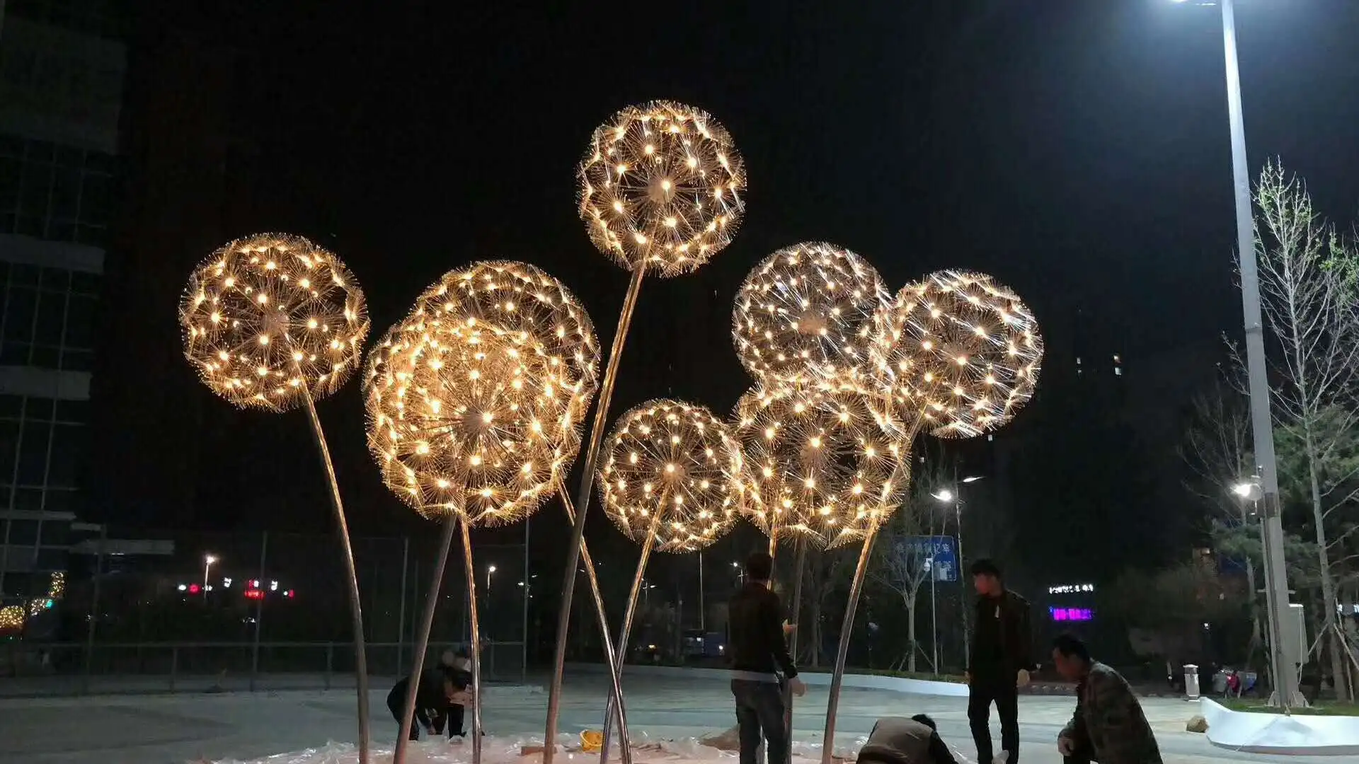 Multi-color Chose Led Street Light Dandelion Street Light New Arrival ...