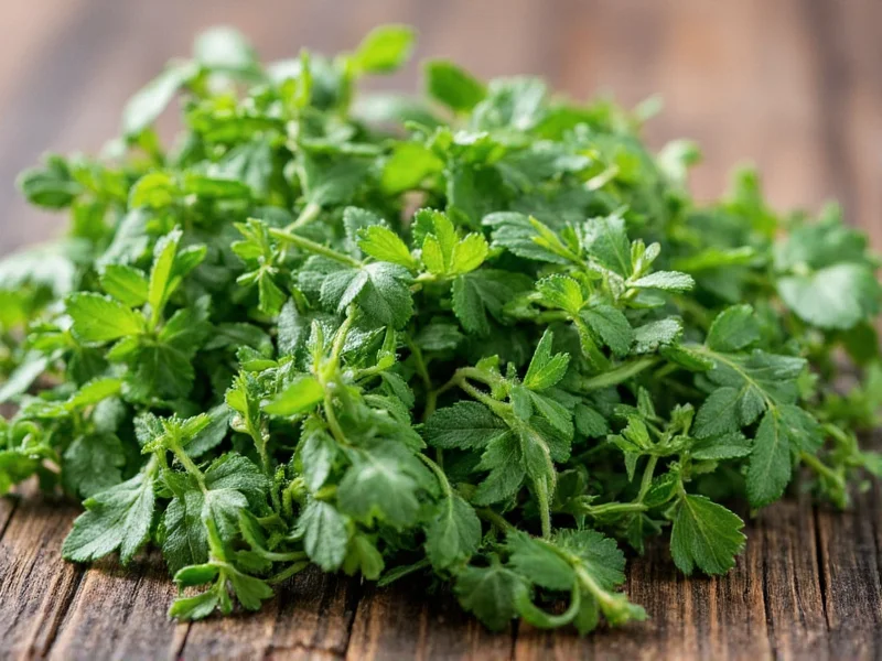 Best Substitutes for Thyme: Expert Cooking Guide