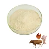 Complete nutrients for poultry feed complex enzyme