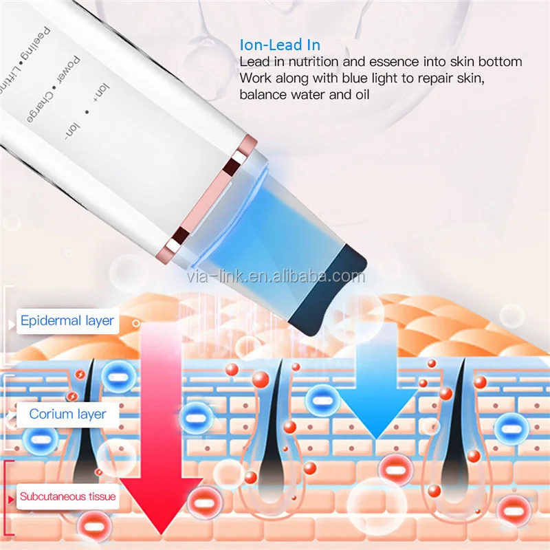 skin scrubber (1)
