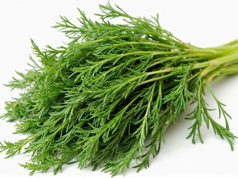 Best Dry Dill Substitutes: Practical Kitchen Alternatives