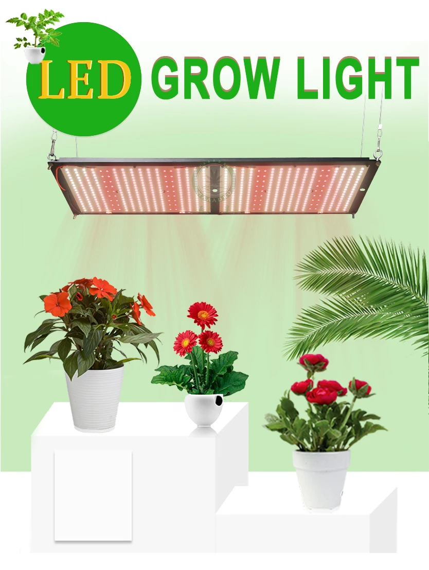 grow lights for veg and flowering