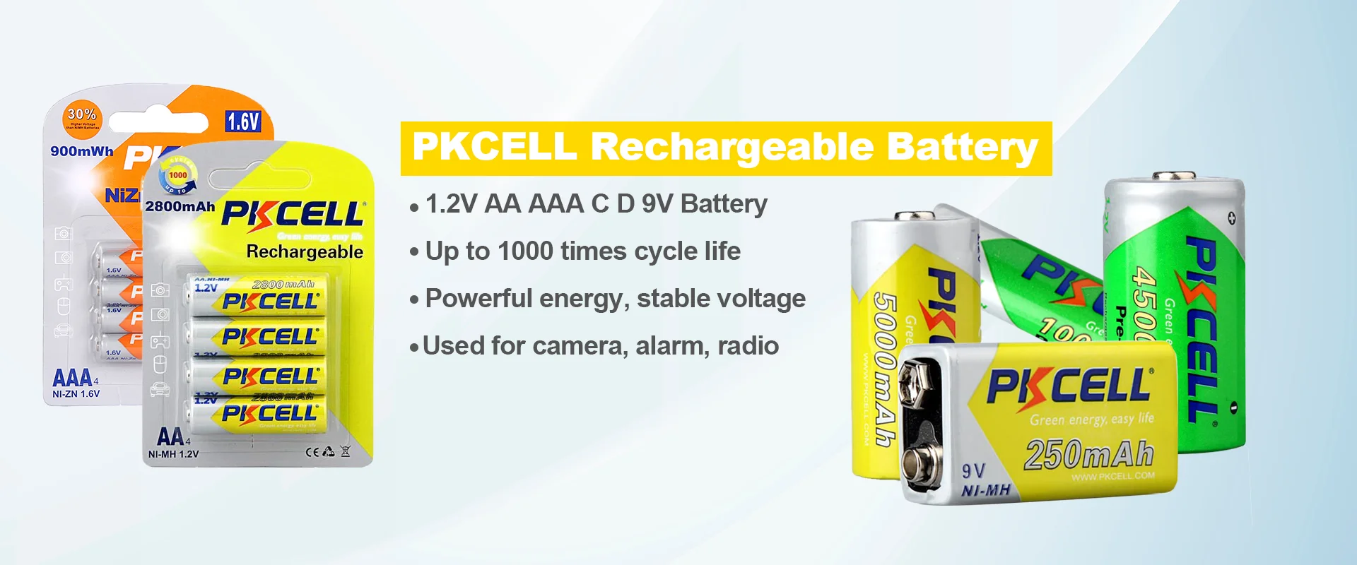 Shenzhen Pkcell Battery Co., Ltd.