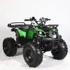 /product-detail/racing-motorcycle-atv-quad-bike-for-adults-62180155783.html