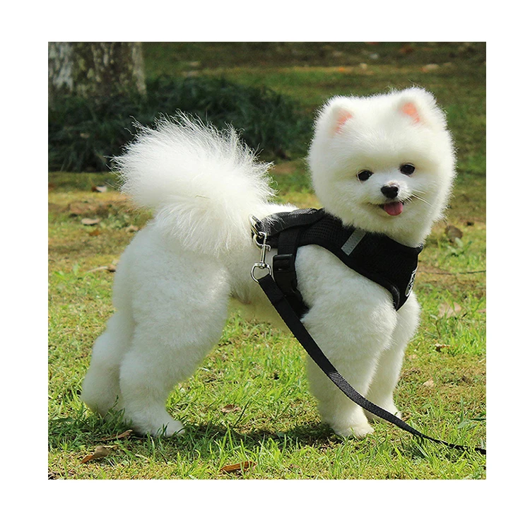 

Adjustable Designers Pet Dog Breathable Front Attached Harnesses Anti Pull Leash For Dogs, Orange/ pink/ black/ red/ blue