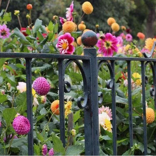 

Modern Style Metal Iron Fence for Sale, Customized color