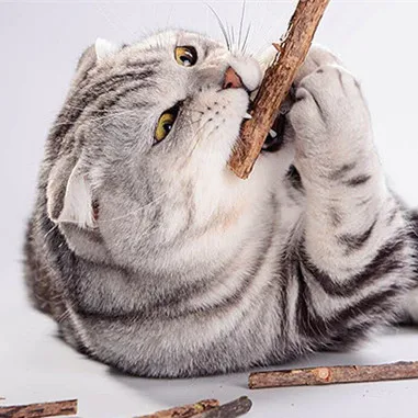 
Catnip Cat Toy Natural Fruit Matatabi Cat Snacks Sticks Catnip Pet Bulk 