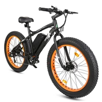 

2019 hot sale powerful offroad fat tire electric mountain bike ebike 500w with low price