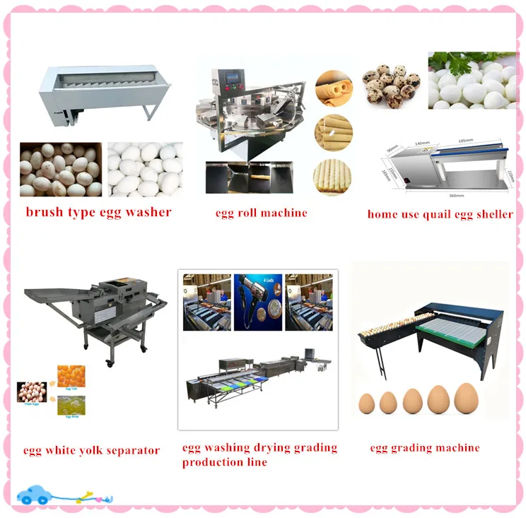 Stainless Steel Hen Egg Cleaner Egg Processing Equipment - China Hen Egg  Cleaner Equipment, Chicken Egg Washing Machine