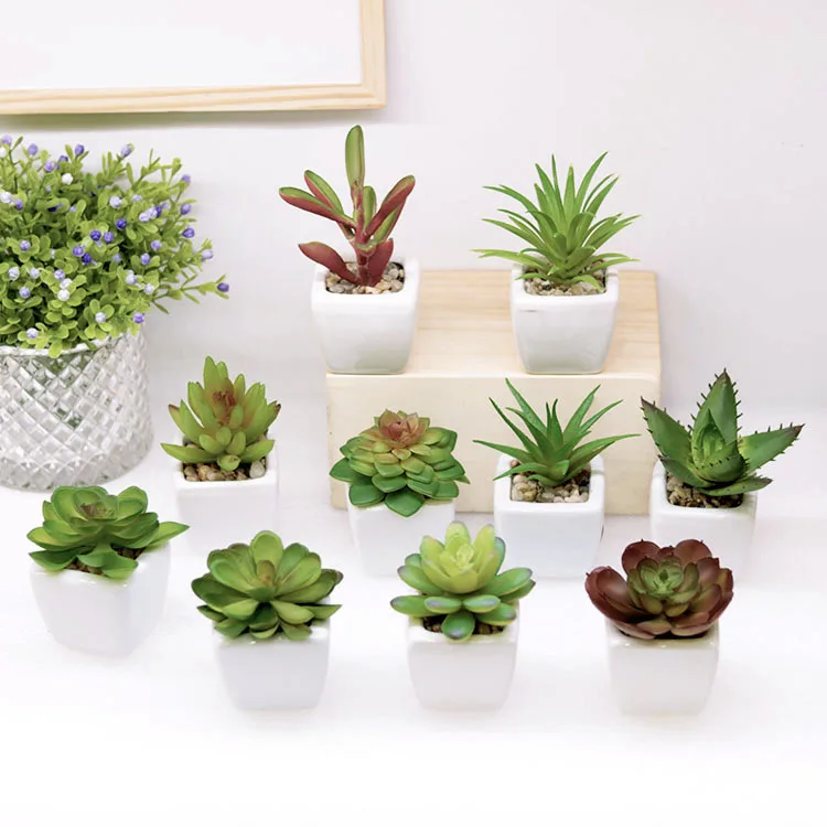 

Indoor Garden Decor Artificial Potted Mini Succulent Cactus Plants with Ceramic Pots, Green