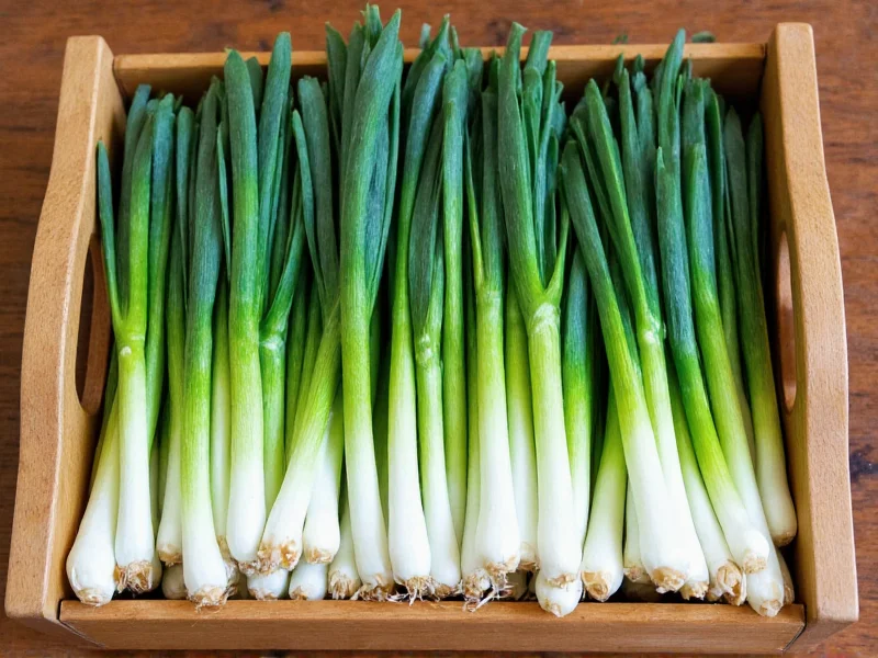 Green Onions vs Chives: Clear Differences Explained