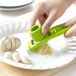 Creative Ginger Garlic Grinding Tool Multi-functional Garlic Paste Press Home Kitchen Grater Tools Peeler Grinder Wholesale
