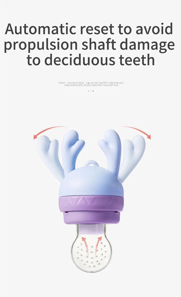 fruit pacifier baby feeder