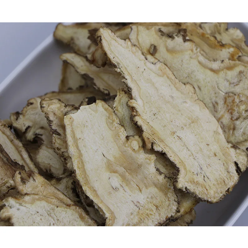 
Medicinal Herbs Angelica P.E Angelica Acutiloba Root 