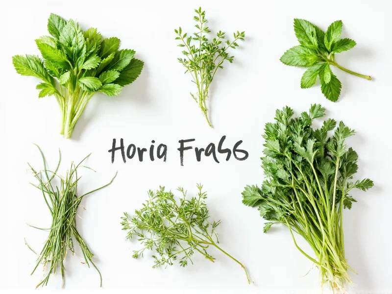 Fresh to Dry Herbs Ratio: The Complete Conversion Guide
