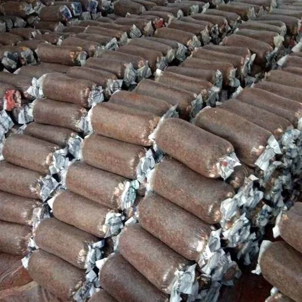 
Shiitake Mushroom Spawn Champignon Mushroom Seeds 