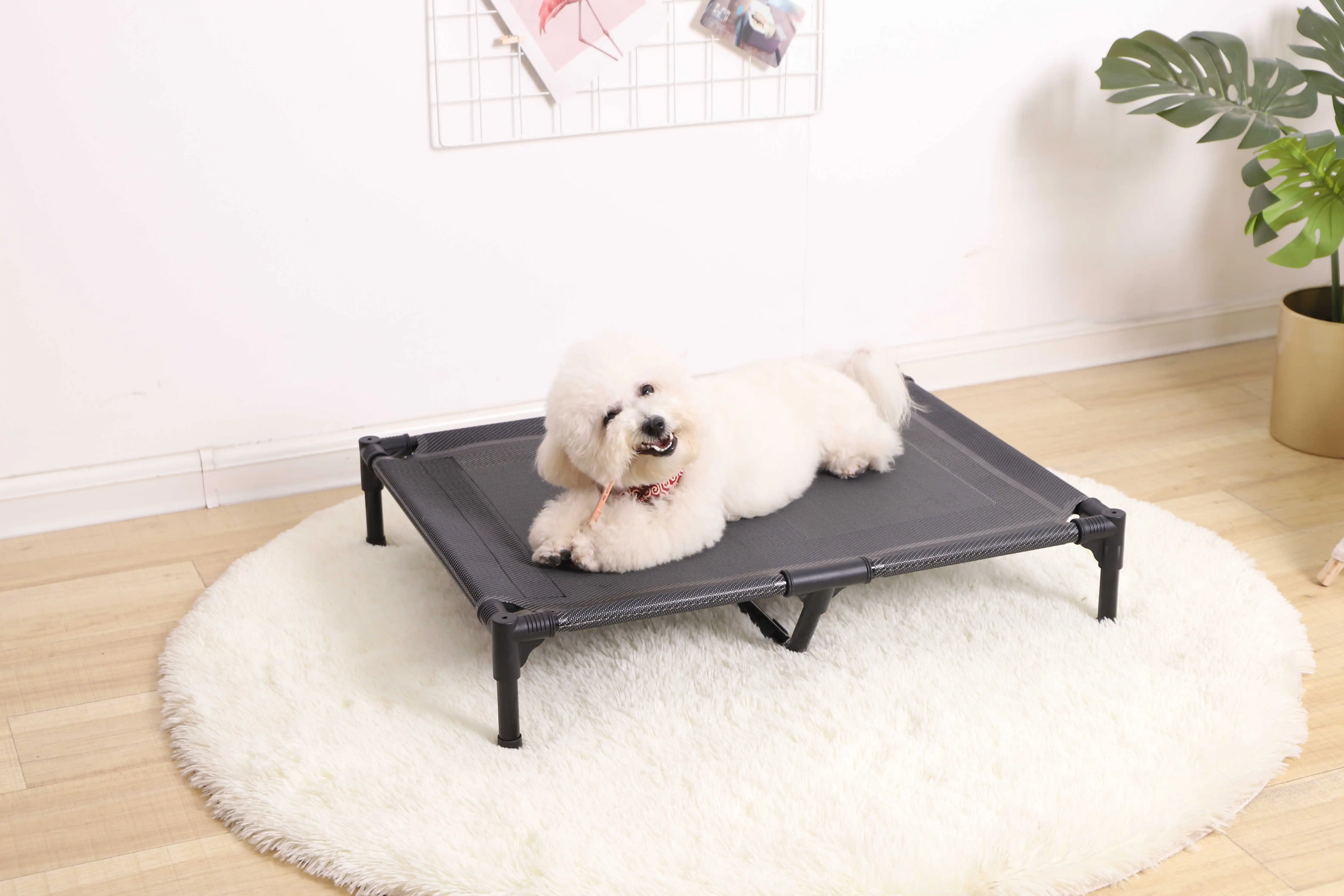 dog elevated bed