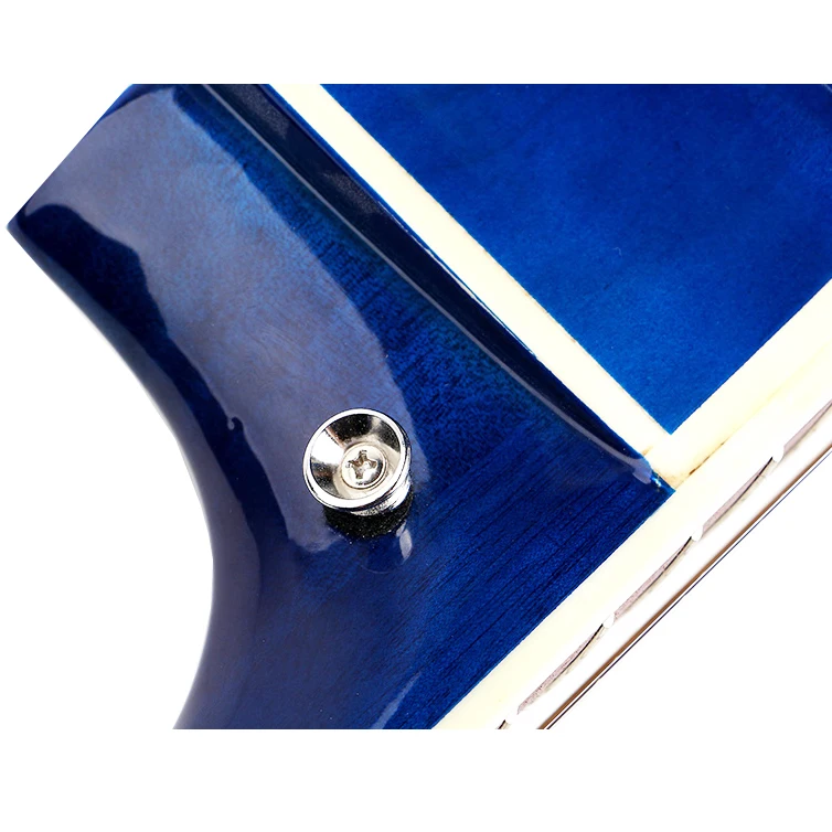 TL-P-10 blue guitar.jpg