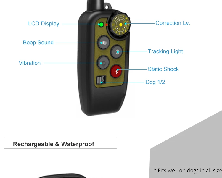 Electric Dog Collar (2).jpg