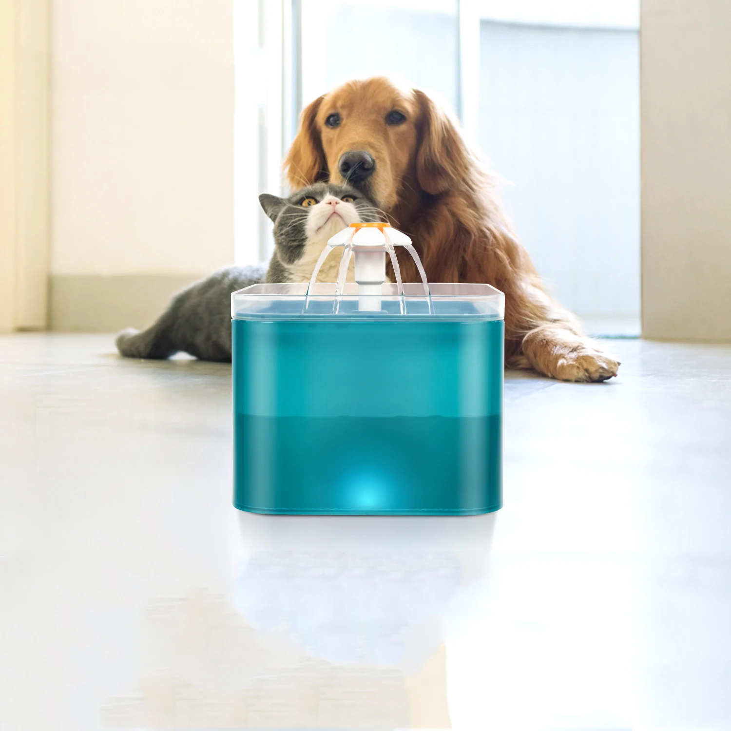 

Intelligent 2L smart automatic pet water dispenser Transparent visible capacity for pets