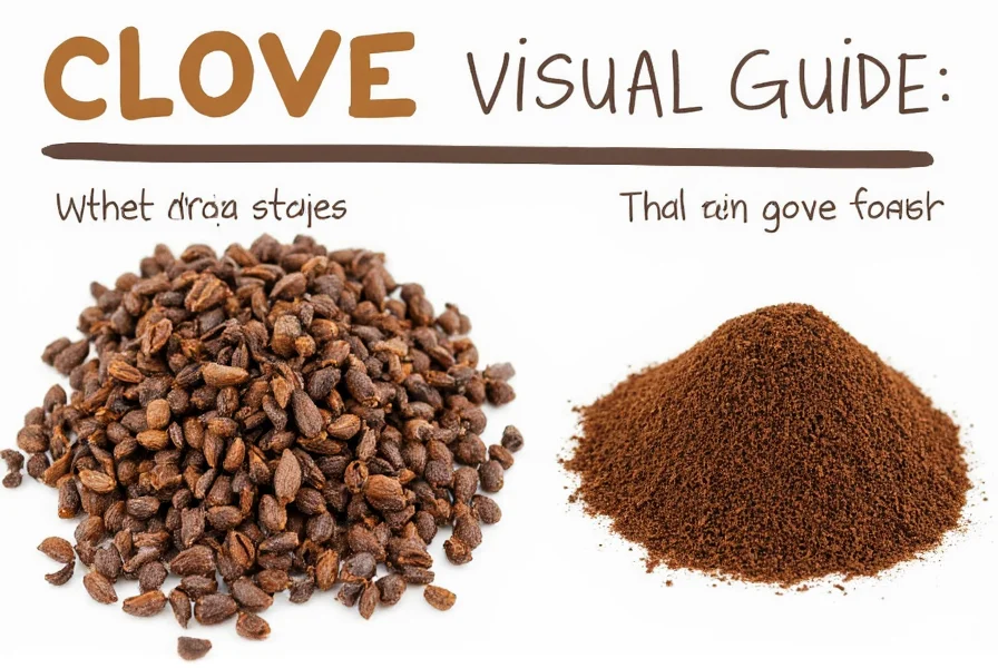 Cloves Spice Visual Guide: Identifying Whole & Ground Cloves