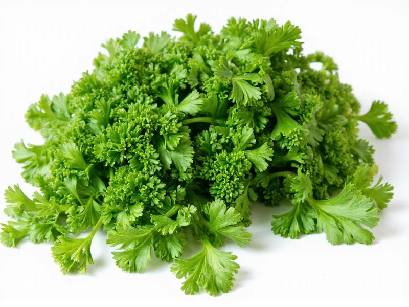 Coriander vs Parsley: Key Differences Explained